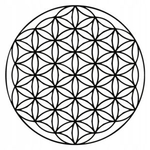 8f82080ff21844710f3901182cb24528