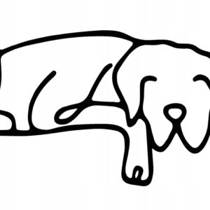 e03e9bb5f9953771353c1b324fa91f46