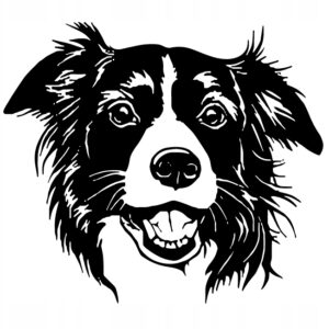 01e314340c5208de480cc36317260eed