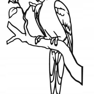 17ecf3d622aaf6551c3a8567daadd5d4