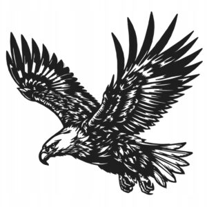 44a9ab1347391ea35e36b37d47f08803