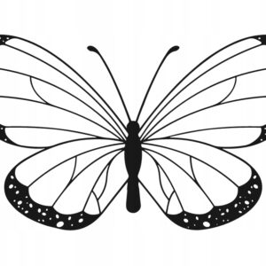 016c12c7cb41102cb6538e507e5af6d9