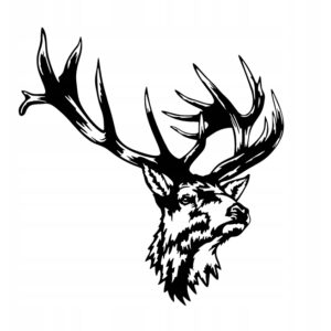 66ba1ca1ec28f6a3527c3fbcc6995e8c