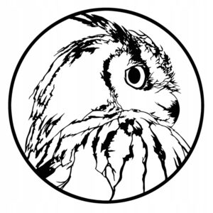 3bdfad87826fb322947a8550c070dd54