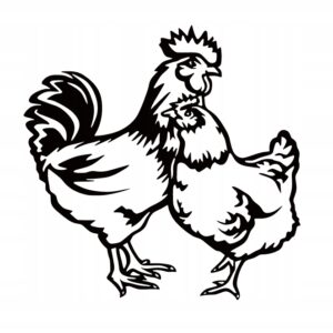 f704ab865dab8aaef9616a12dc58d14e