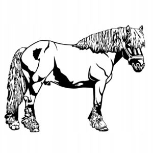 4ab0c3d3d21da67d8d6a93d89f9ddbab