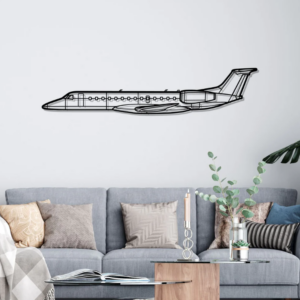 DEKORACJA ścienna Obraz ERJ-135