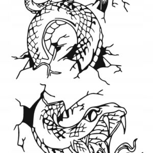 dd66af6cc5742e430d5b5a5b79aadeef