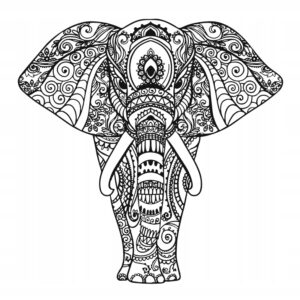 92435f65644ef7ae0004380fd09c9e84