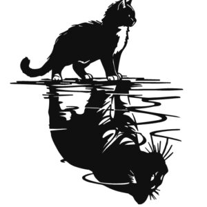 52c8fa0bbd5169a708214f31083e8673