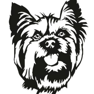 30b6a91e479700f886fb25e1c9f4abba