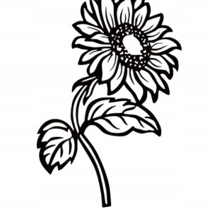 15149e1612cb413f9edc7231e5d2ea1b