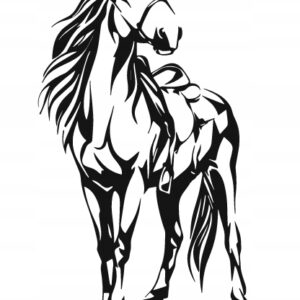 bc31699659725d080b666c35274e935a