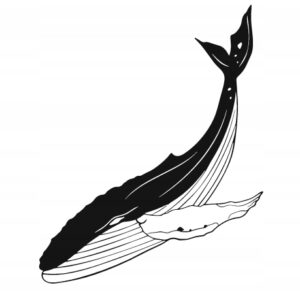 0ac031253d8e1b7fa03a16579ccf2989