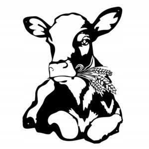 ee295542e68457f9afceeb124da58e3b