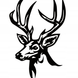 7e9e376fdd0ab2af9ce0cc6c294fe326